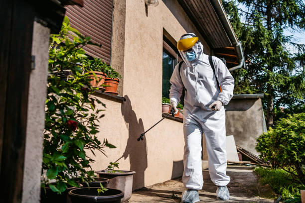Best Wasp Removal Services  in West Dundee, IL
