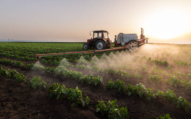 Best Pest Prevention Services  in West Dundee, IL