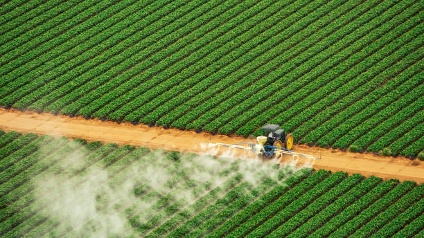 Best Pest Control for Businesses  in West Dundee, IL