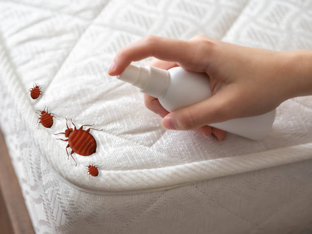Best Emergency Pest Control  in West Dundee, IL
