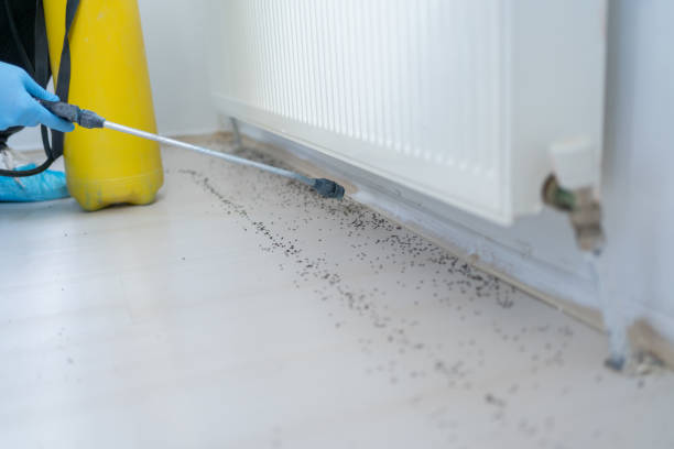 Best Residential Pest Control  in West Dundee, IL